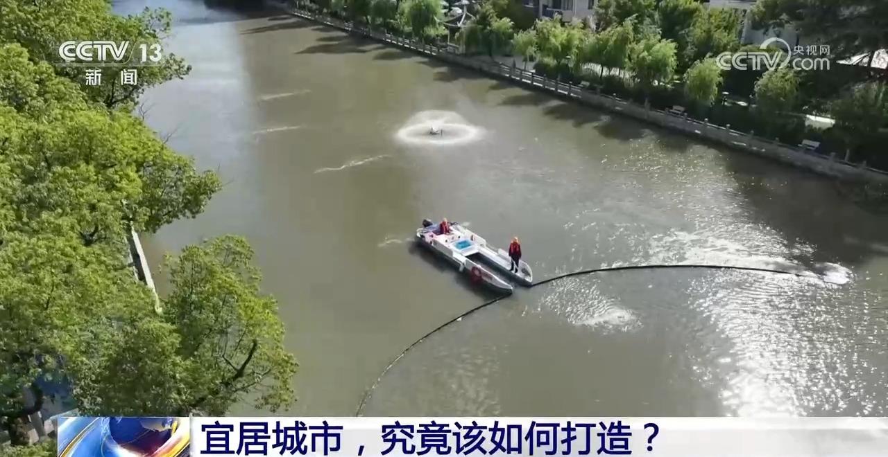 新闻1+1｜宜居城市，究竟该如何打造？