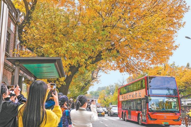 谁能比北京更懂秋天