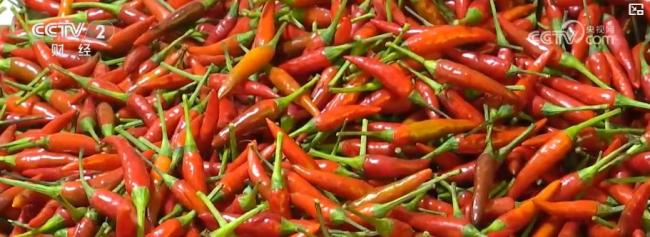 各地冬“鲜”上市丰富菜篮子