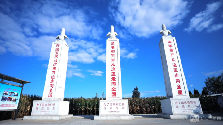 经济大省挑大梁·高手在“民”间｜五谷丰登，诠释何以“新鲁商”