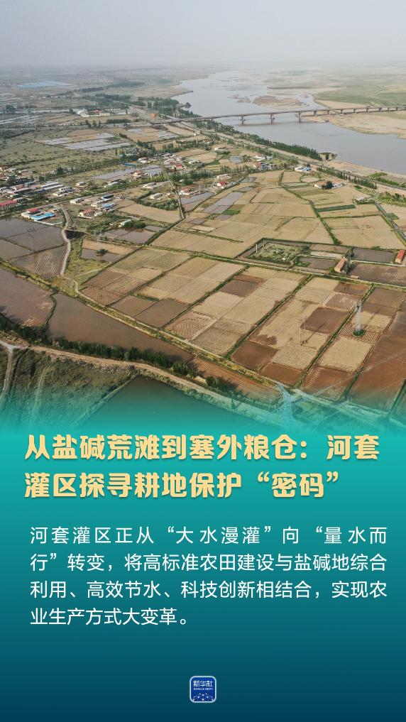 从盐碱荒滩到塞外粮仓:河套灌区探寻耕地保护“密码”