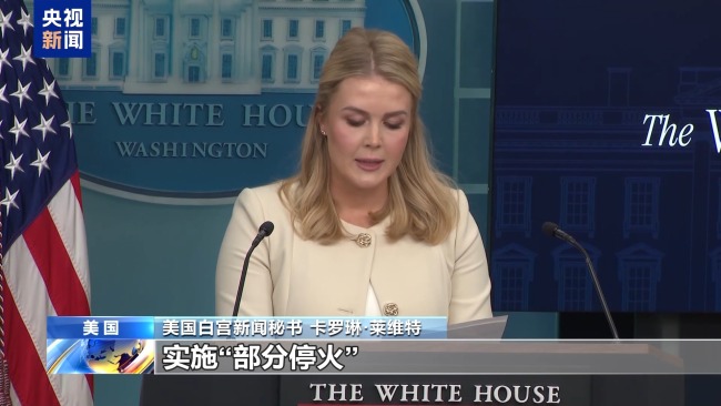 白宫争吵19天后美乌总统再通话表面和气却难掩分歧