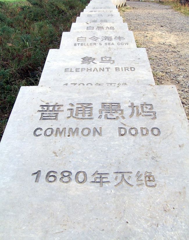 别再给动物施加“有毒”的爱了!李忠秋教授:投喂和放生都是好心办坏事