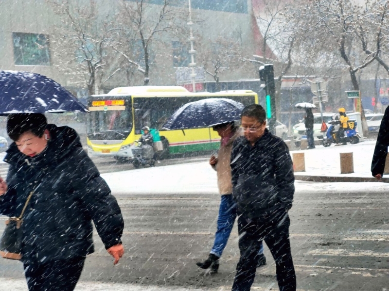 新疆乌鲁木齐24日出现春雪。 中新社
