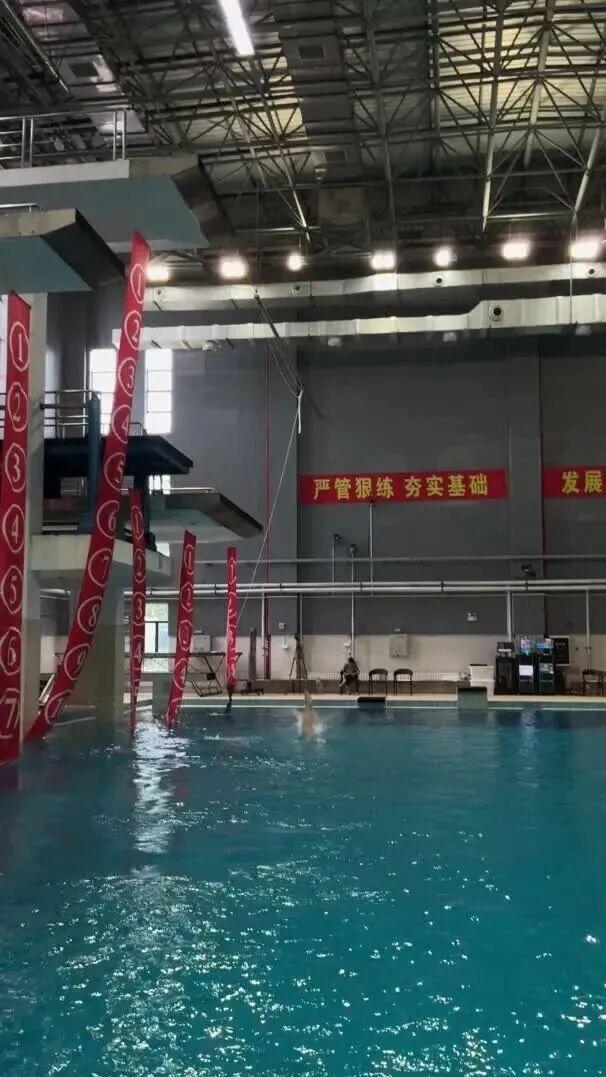 全红婵再现“水花消失术”,知情人否认其“退役”传闻,称正备战全运