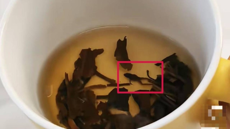 奈雪的茶疑喝出蛙尸。网图
