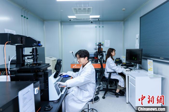 青年博士的科研路:在深耕中凝练方向 在思辨中突破桎梏