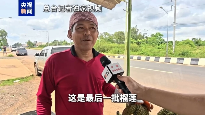 泰国榴莲种植户 提