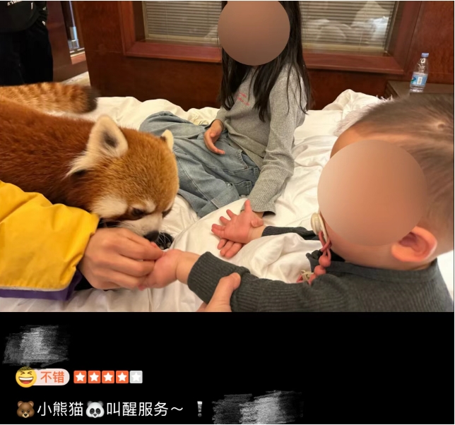 Сè