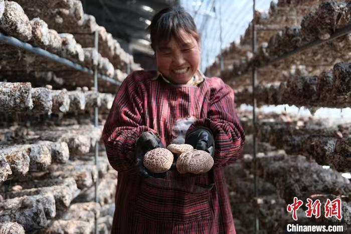 碳路中国|中国乡村探索低碳发展路径 构建可持续未来