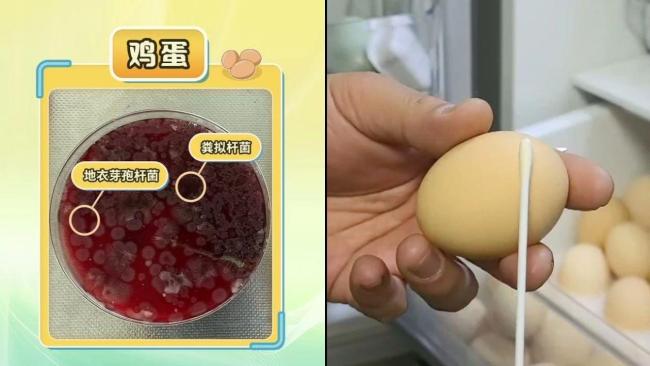 别让冰箱成为“细菌培养皿” 这份使用指南请收好