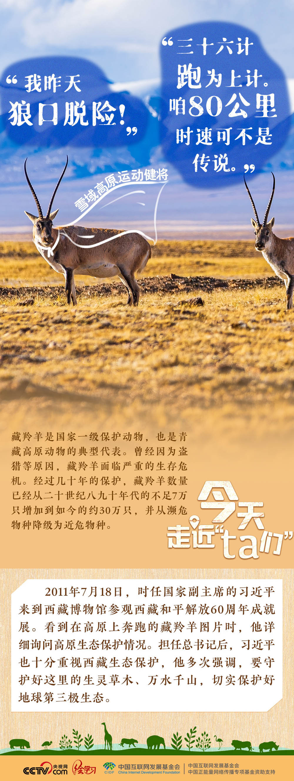 天天学习|习近平特别关注的“TA们”