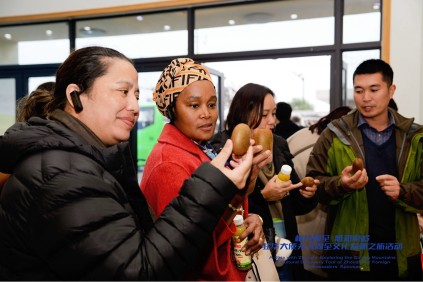 从秦岭沃土到“丝路甜果” 驻华大使夫人见证中国乡村产业振兴之路