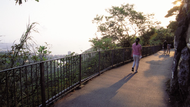西高山段的炉峰自然步道。