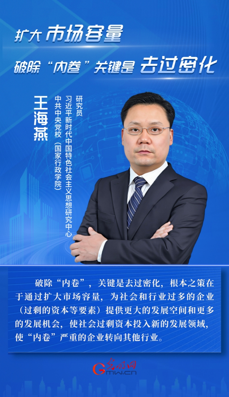 王海燕:扩大市场容量 破除“内卷”关键是去过密化 王海燕:扩大市场容量 破除“内卷”关键是去过密化