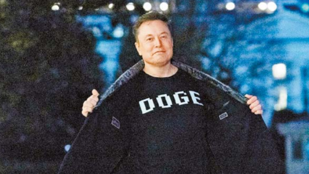 DOGEΪͳС飬ͳṩ߽飬ܡϢɷܡ
