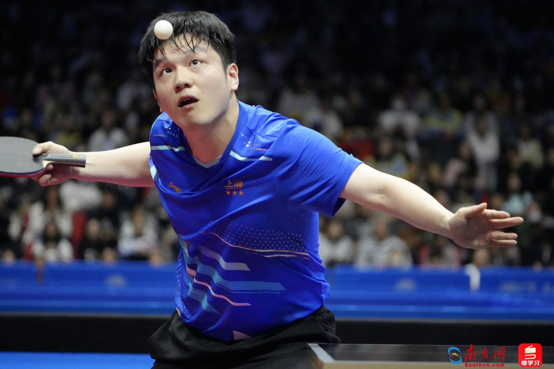 樊振东紧盯发球。