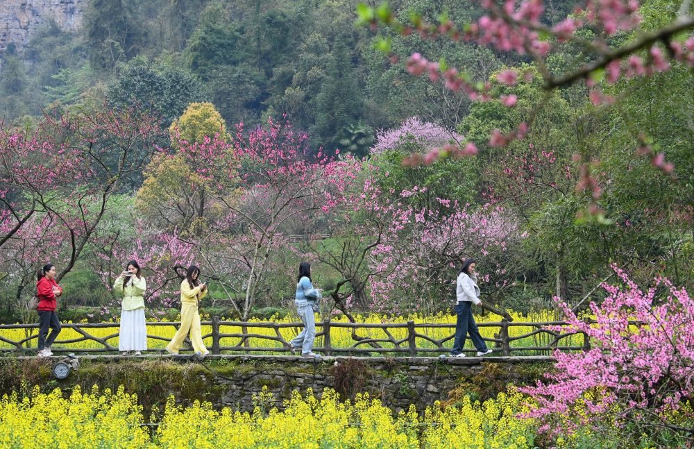踏春赏花享胜景 文旅融合热力足——透视清明小长假出行消费亮点