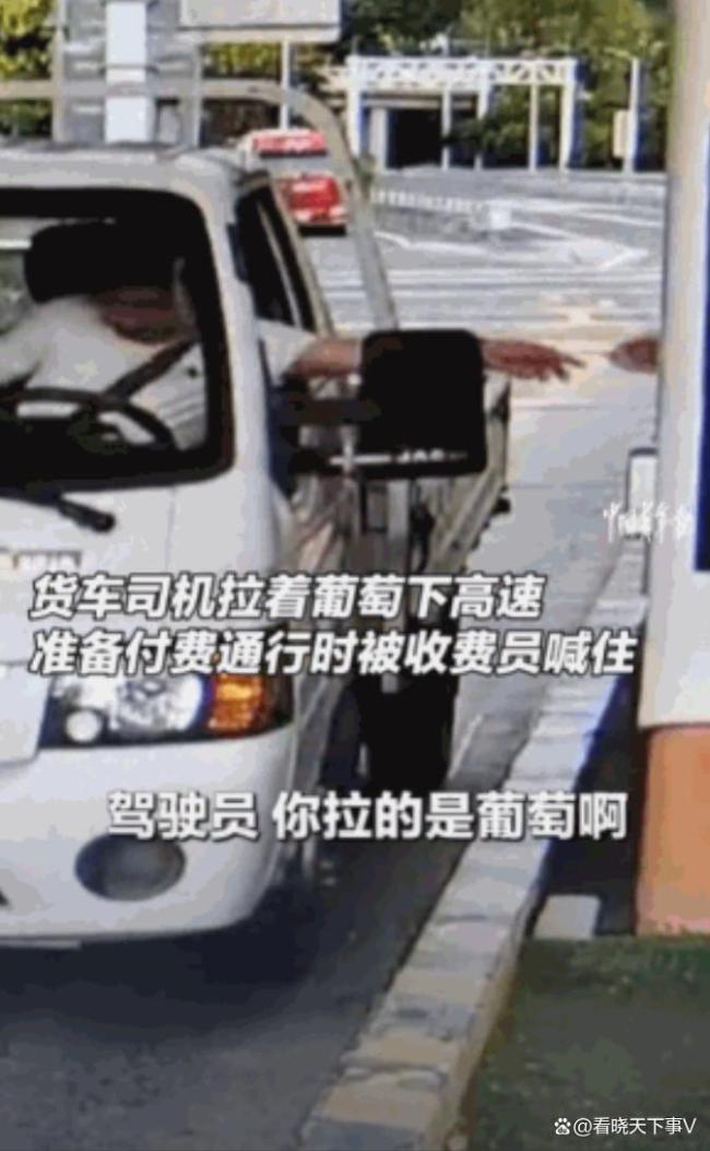 高速收费员提醒司机走绿通