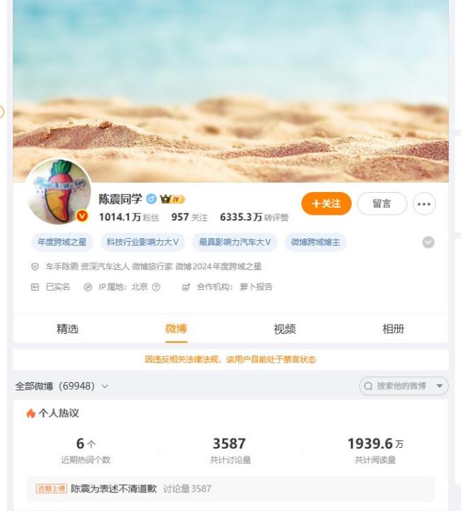 车评人陈震全网禁言