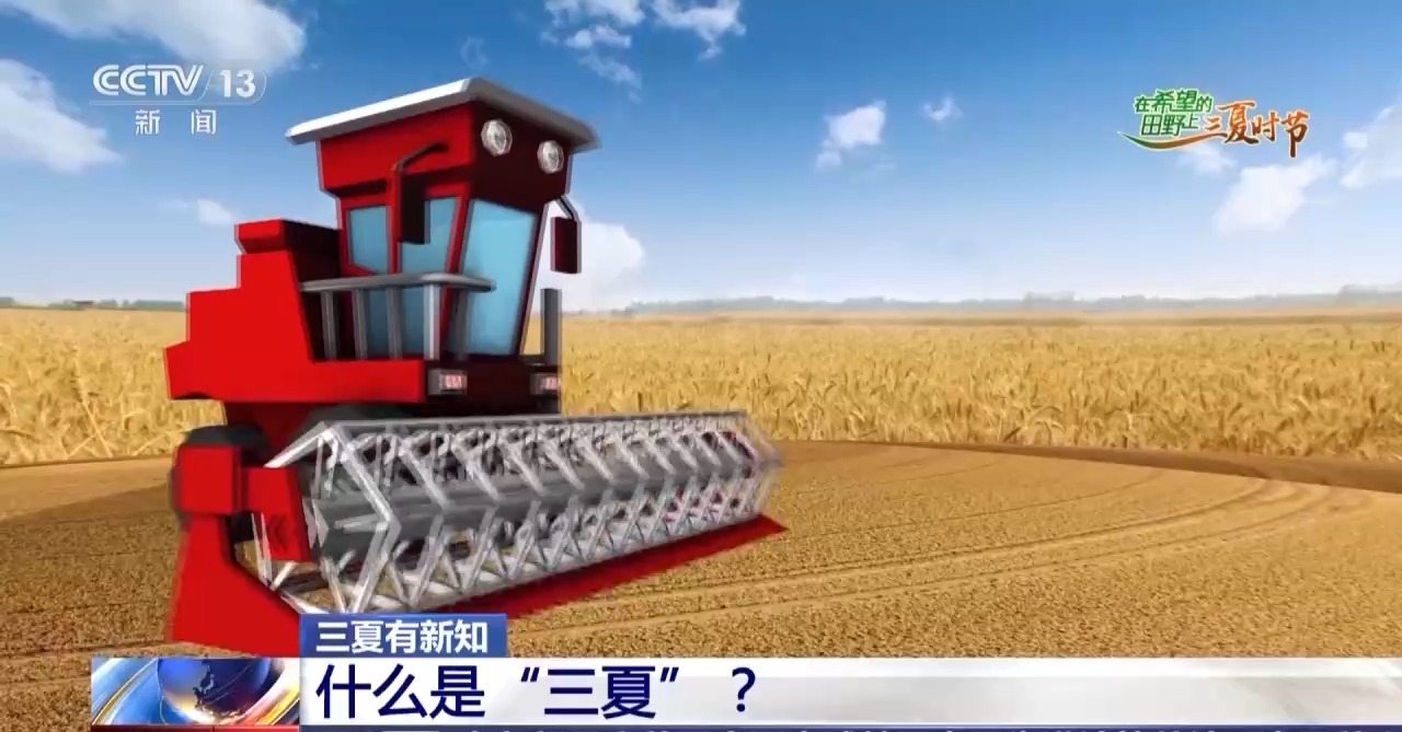 什么是“三夏”?一组数据带你了解
