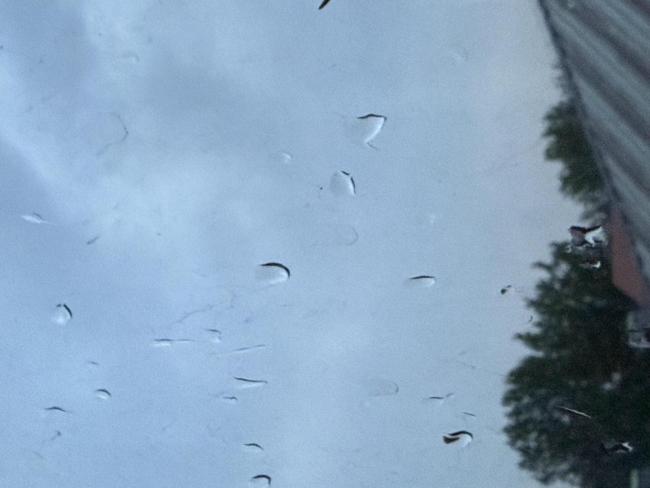 注意防风防雨!北京今天气温下降,城区有弱降水,阵风较大