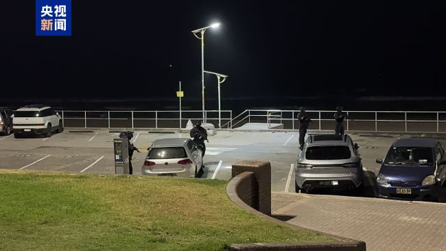 澳大利亚邦迪海滩枪击事件已致12人死亡