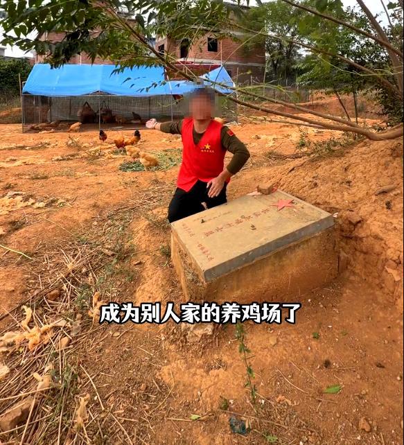 当地回应烈士墓地成养鸡场