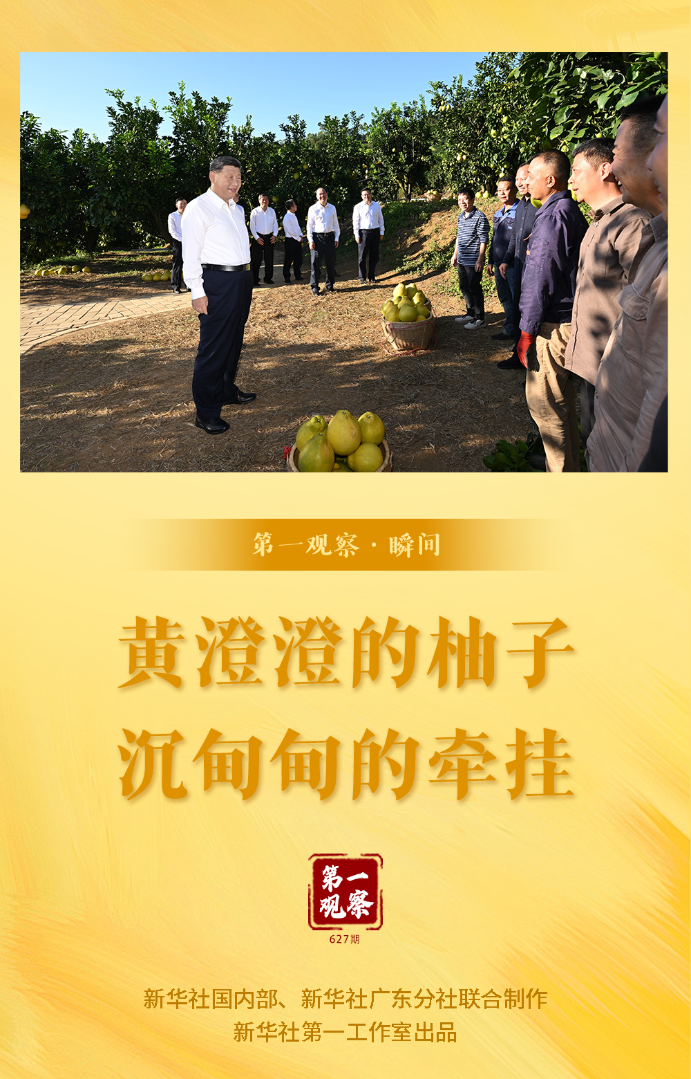 第一观察·瞬间｜黄澄澄的柚子，沉甸甸的牵挂