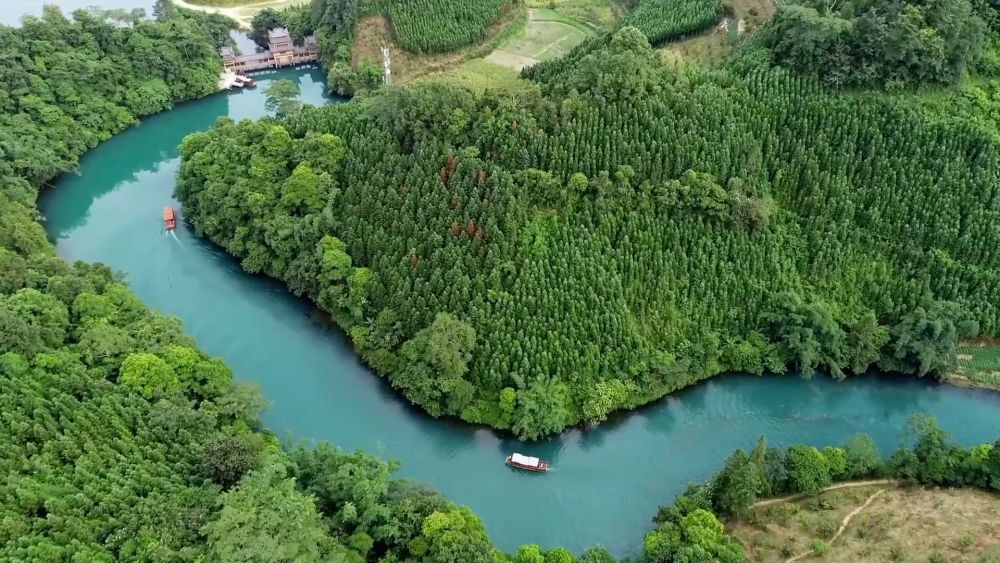 新华视点｜特色产业兴乡村 多元经济促发展