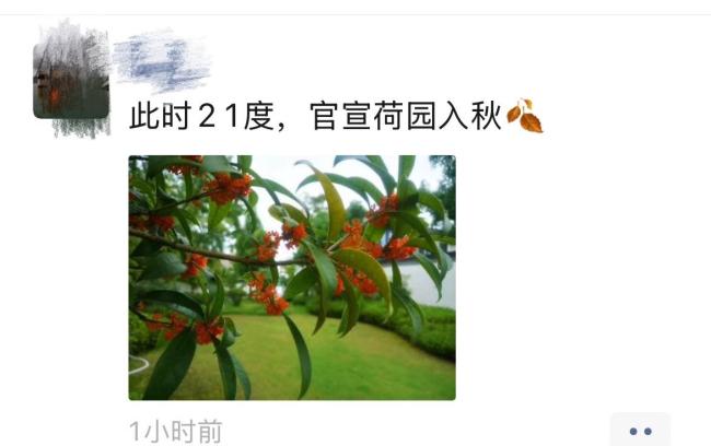 杭州你冷得让我陌生