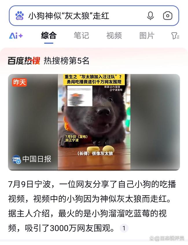 小狗因神似“灰太狼”走红