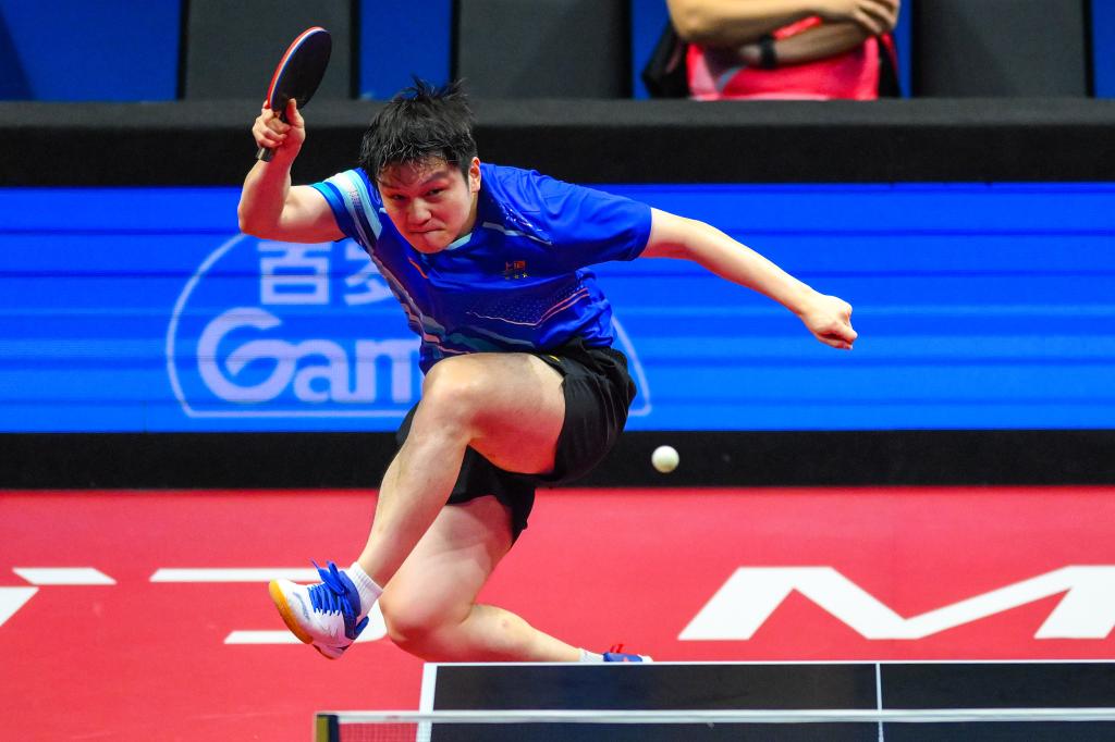 11月15日，樊振东在比赛中回球。新华社发（张金加摄）