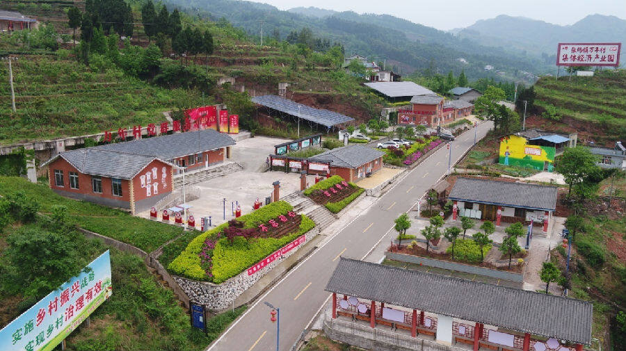 驻村帮扶调研丨扎根桔橙沃野 绘就乡村建设美丽蓝图