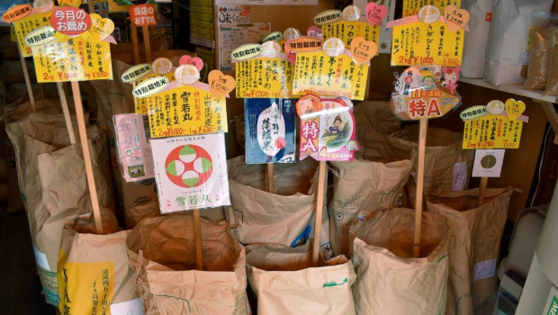 过去一年，日本大米价格已升近一倍。