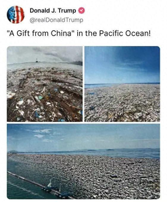特朗普甩锅太平洋垃圾究竟来自哪